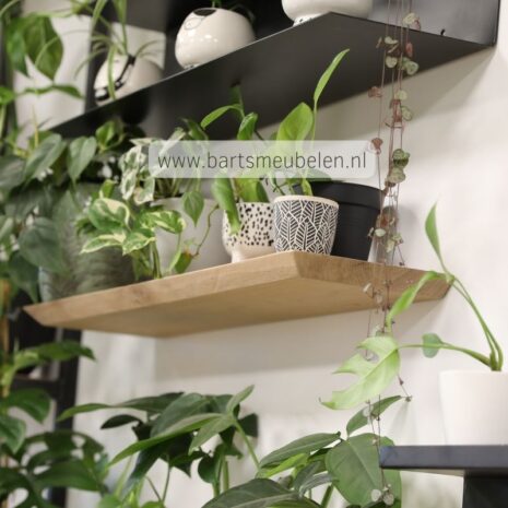 wandplank eiken verjongd 25.2 afbeelding wandplank eiken verjongd 25