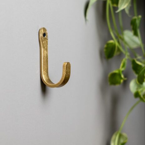kapstokhaak-goud-rond