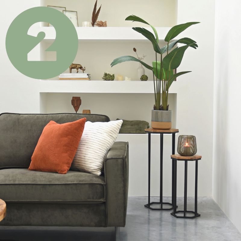 Plantentafels strelitzia 2