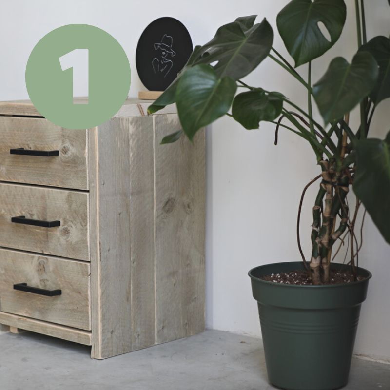 monstera plantentafels