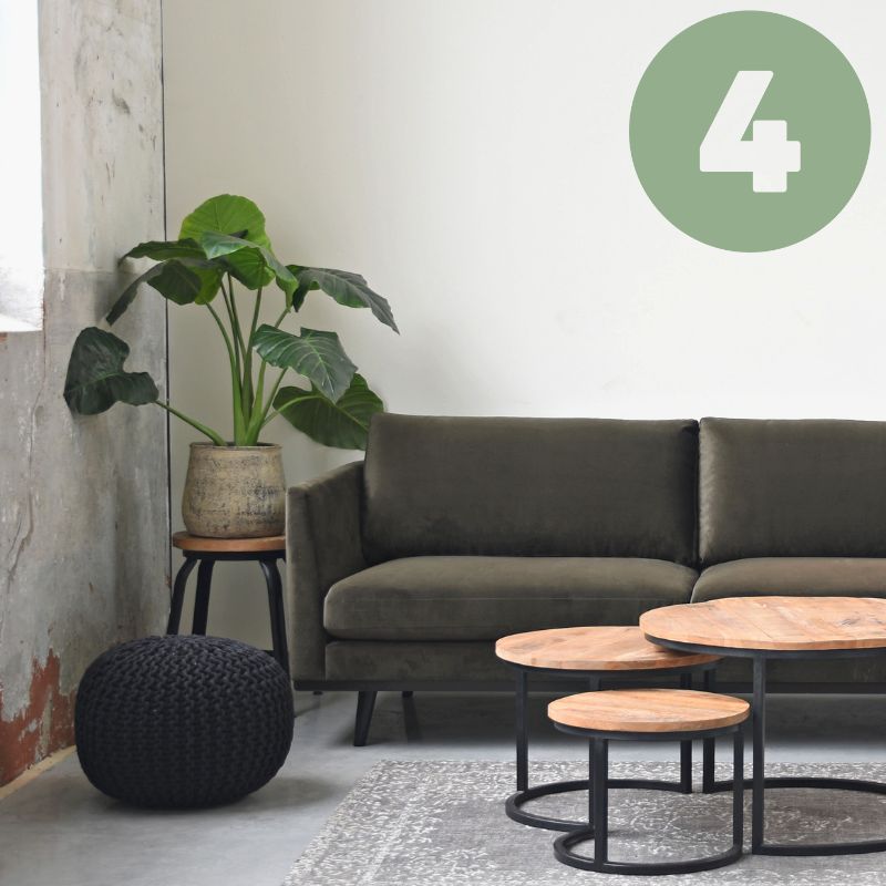 plantentafels alocasia 4