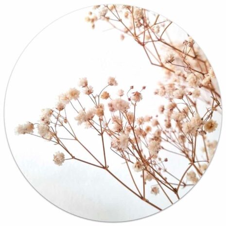Muurcirkel foto gipskruid ⌀20cm Muurcirkel foto gipskruid ⌀20cm