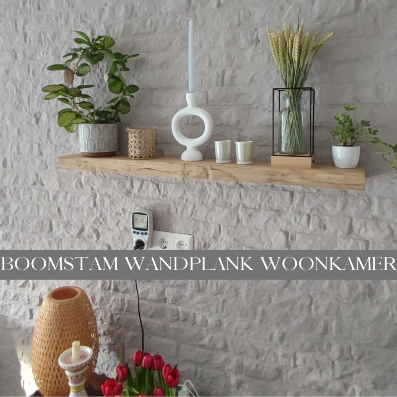 boomstam wandplank eikenhout in de woonkamer boomstam wandplank eikenhout in de woonkamer