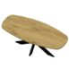deens ovalen eettafel met spinpoot 12x4 1 deens ovalen eettafel met spinpoot 12x4