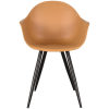 4Eetkamerstoel Luca Oker PP 58x54x85 Cm Voorkant 4Eetkamerstoel Luca Oker PP 58x54x85 Cm Voorkant