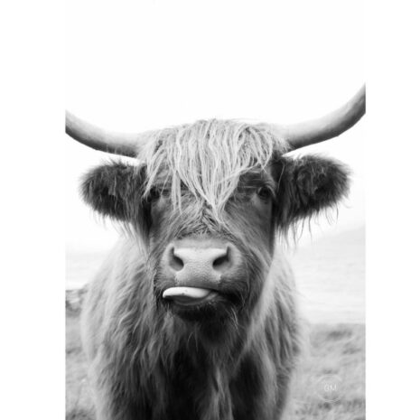 Tuinposter happy cow Tuinposter happy cow