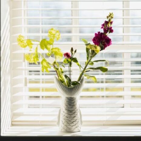 vaas vis staart witt